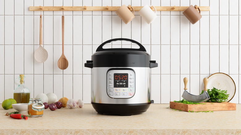 multicooker on counter