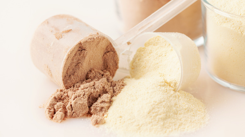 scoops of protein powder