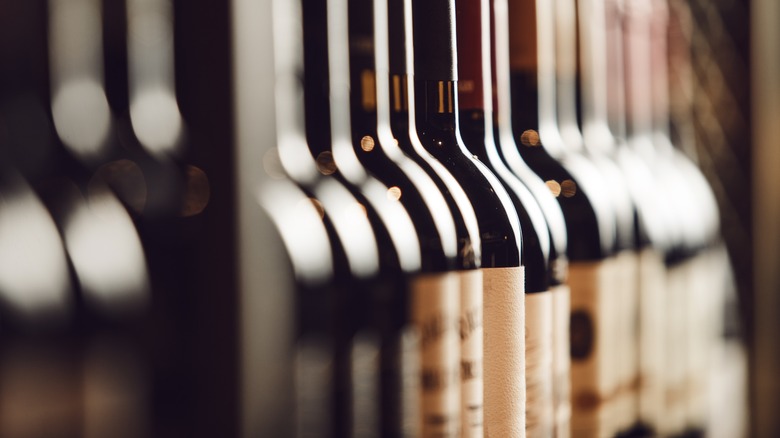 Wine bottles lined up in a cellar