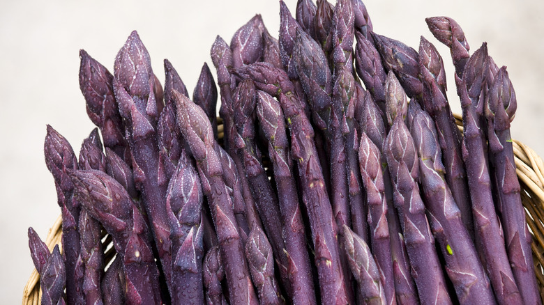 purple asparagus