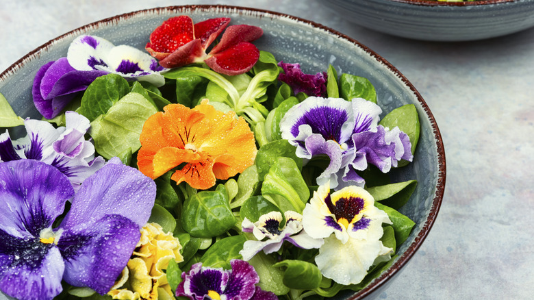 A variety of edible flowers on a bed of greens in a blue bowl