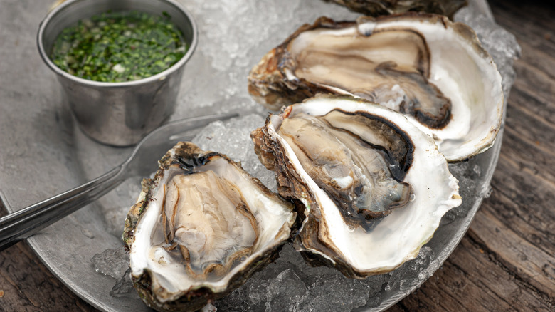 Three fresh oysters served on ice