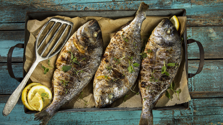 Grilled fish in metal pan, with metal spatula and lemon slices