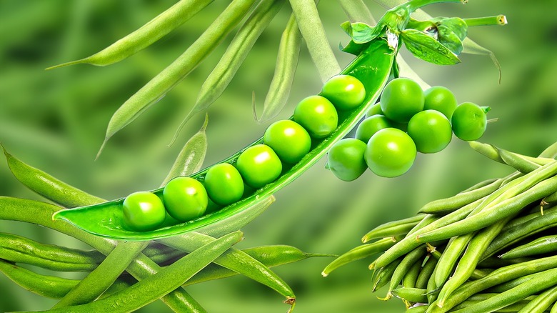 Green beans pods