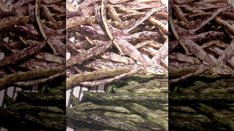 Rattlesnake beans