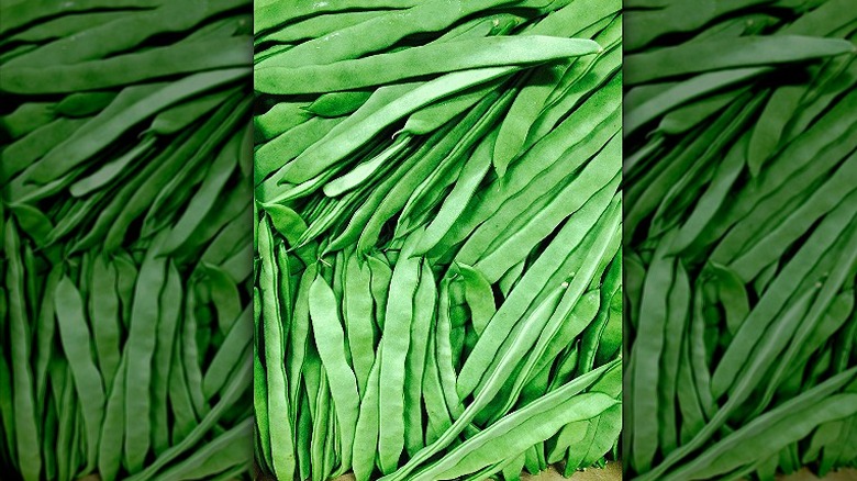 Romano beans