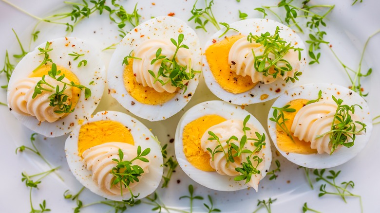 plate of deviled eggs