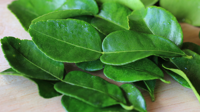 Makrut Lime Leaves