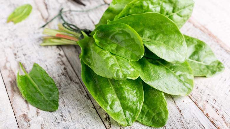 Bunch of Sorrel