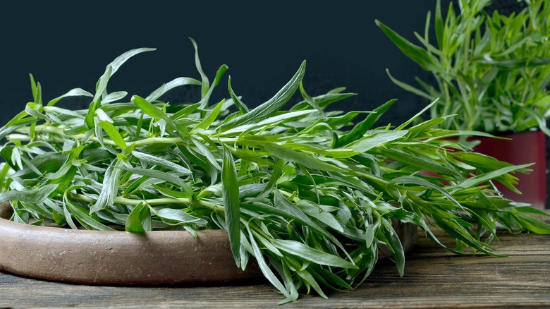 Sprigs of Tarragon