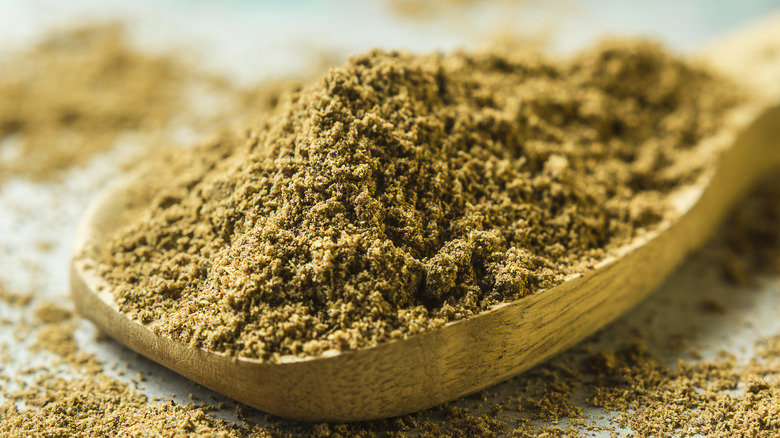 Spoonful of garam masala