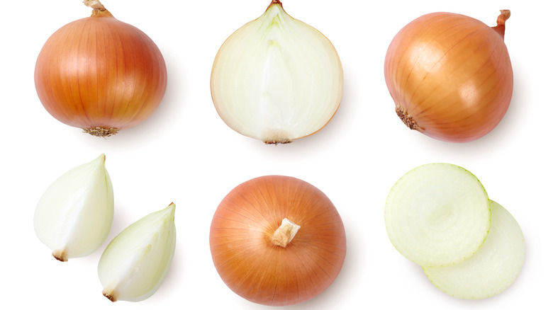 Cut Onions on Background