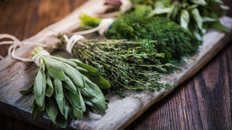 fresh green herbs