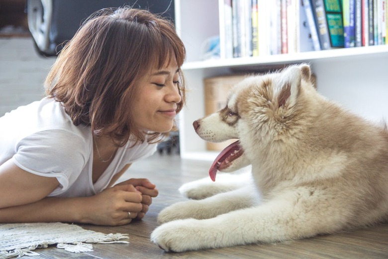 Housesit for a Local