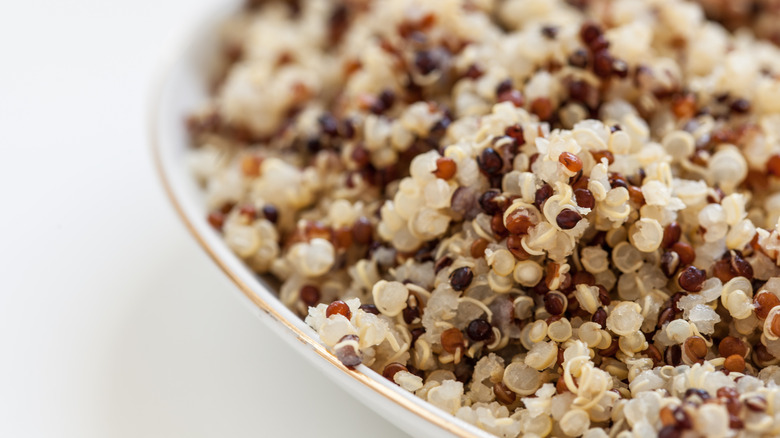 Upclose cooked quinoa