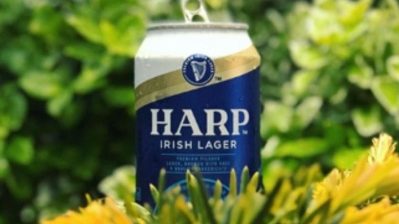 Harp Lager can outdoors