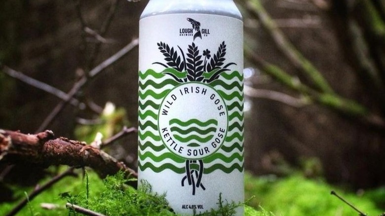 Wild Irish Gose can outside