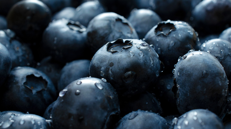 Blueberries covered in water droplets 