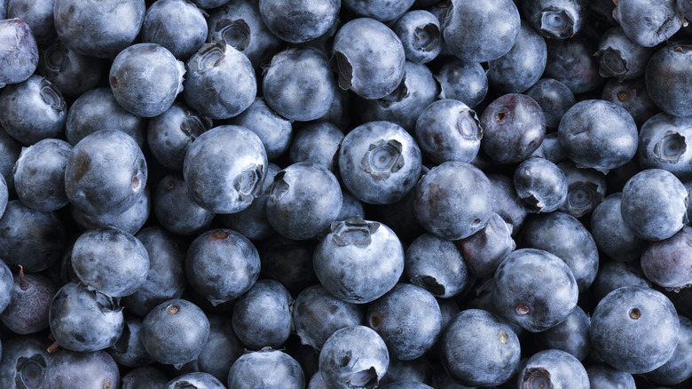 close up of blueberries
