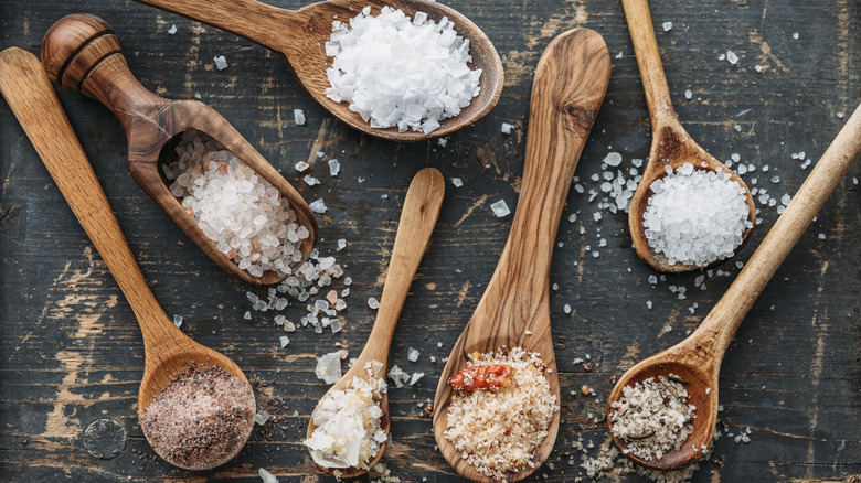 Wooden spoons filled with different types of salt