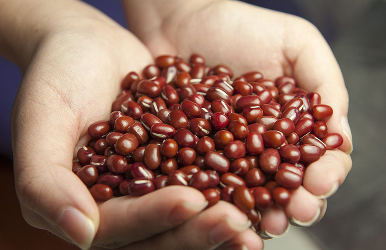 Beans