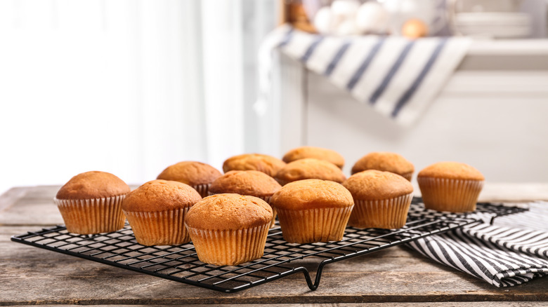 cupcakes on cooling rack