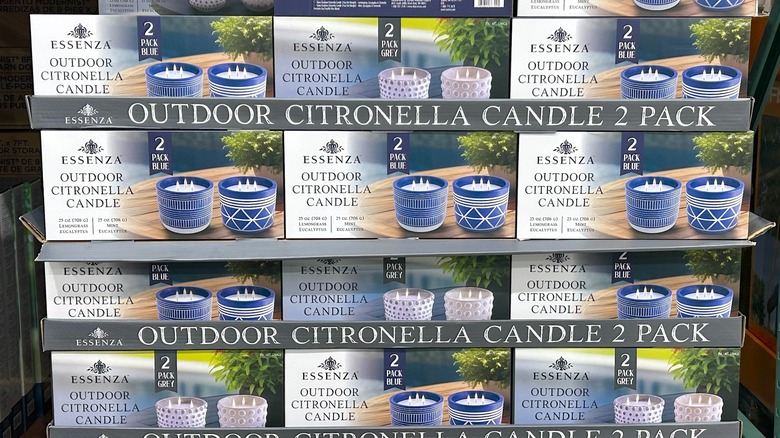 Several boxes of Essenza Outdoor Citronella Candle, Pack of 2