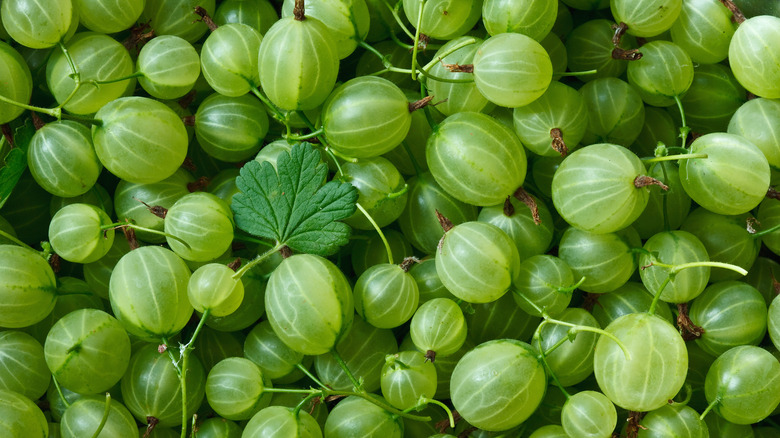 Close-up of green gooseberries