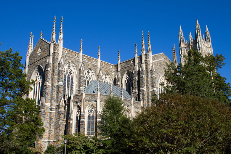 Dog Emotion and Cognition, Duke University