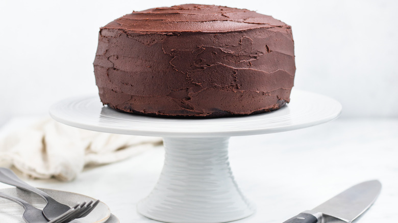 2-layer chocolate cake on plate