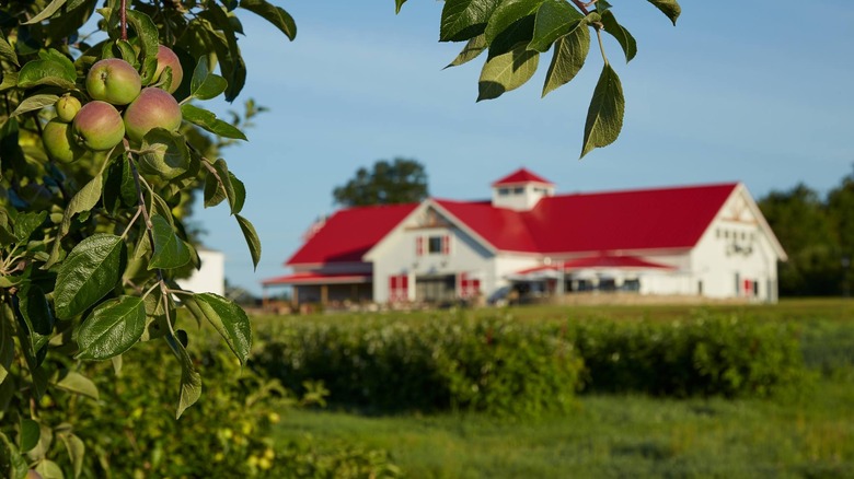 Applecrest Farm Orchards New Hampshire