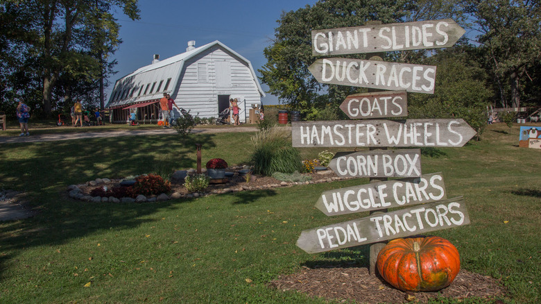 Deal's Orchard Iowa