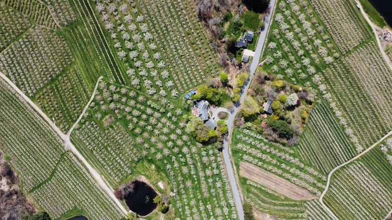 Honey Pot Hill Orchards Massachusetts