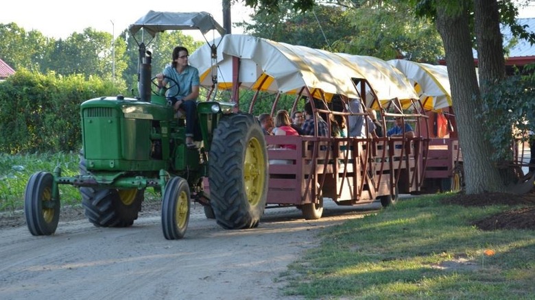 Johnson's Corner Farm New Jersey
