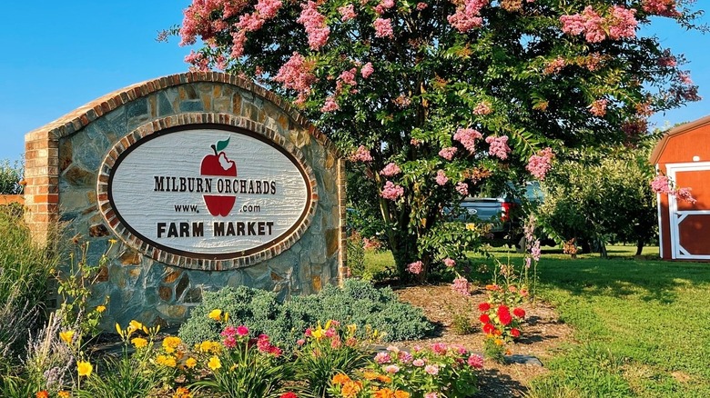 Milburn Orchards Maryland