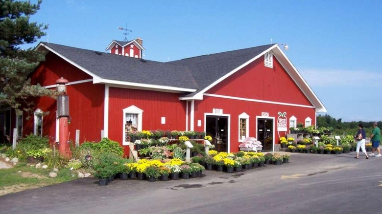 Spicer Orchards Michigan