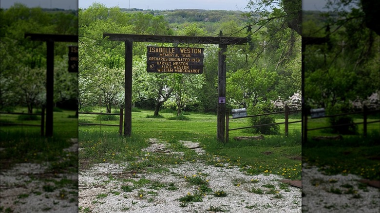 Weston's Antique Apples Wisconsin