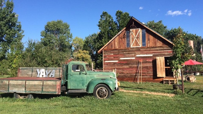 Ya Ya Farm and Orchard