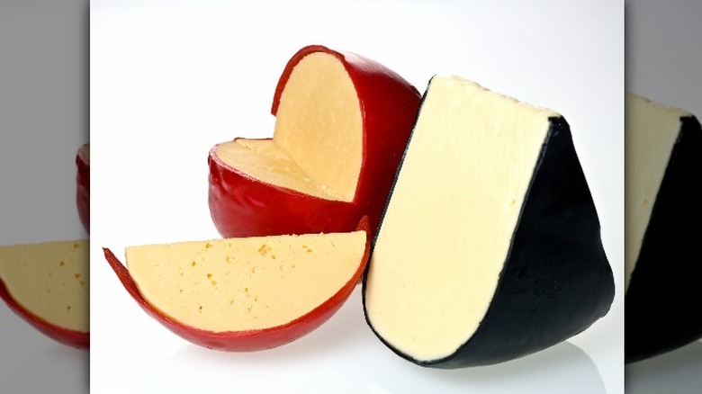 Different types of fontina cheese