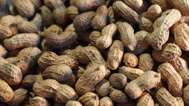 Closeup of many boiled peanuts