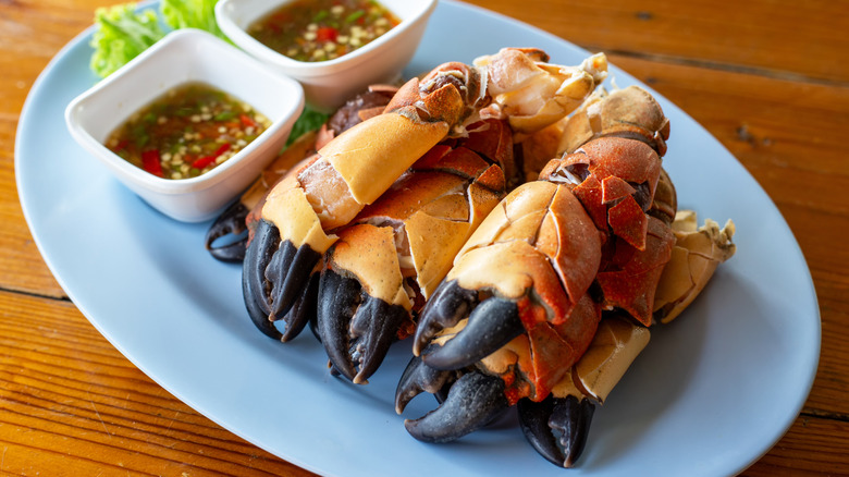Steamed stone crab claws on a blue plate with some dipping sauce