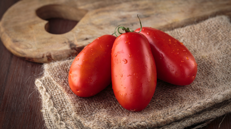 Fresh raw San Marzano tomatoes on a dish towel