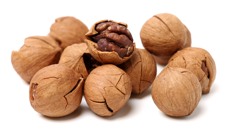 Hickory nuts in cracked shells, with one open to show the walnut-like nut inside