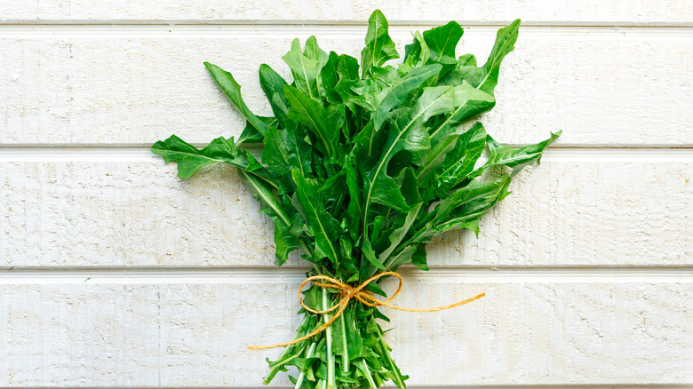 A bundle of dandelion greens against a white wooden background