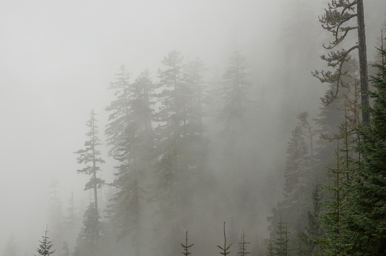 "June Gloom"
