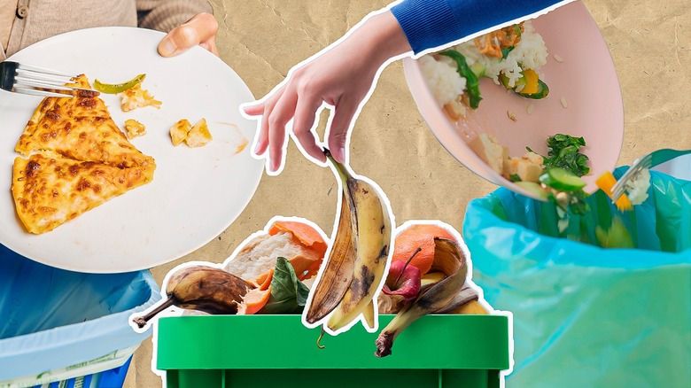 rotten food in a trash can