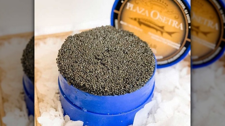 Plaza Osetra caviar