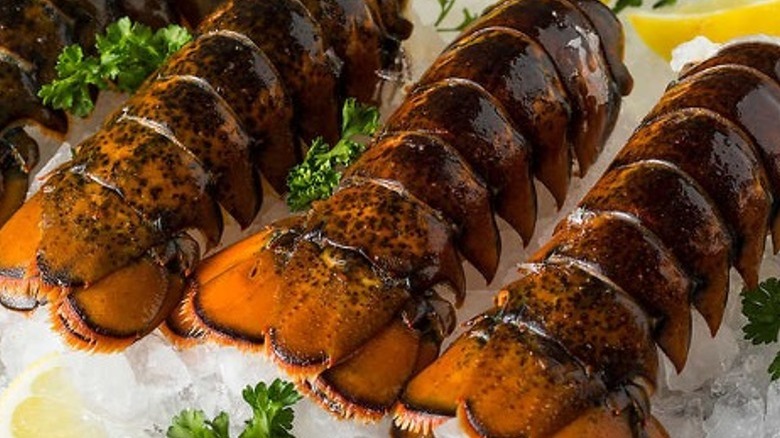 Coastal Seafood lobster tails