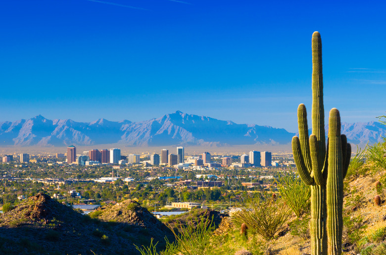 #14 Phoenix