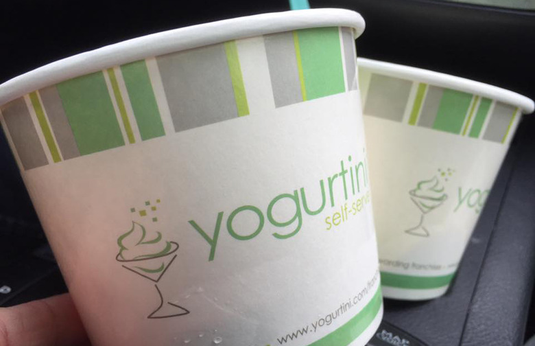 #19 Yogurtini